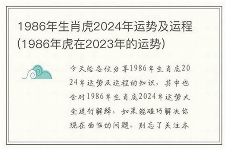 1986年人一生运程