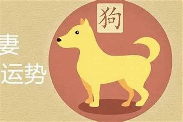 男属狗和女属猪合婚吗？