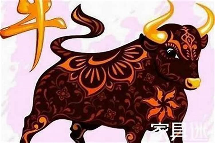 属虎的男和属牛的女合婚吗？