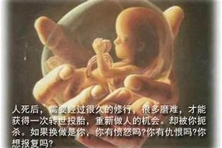 为什么要超度堕胎婴儿？