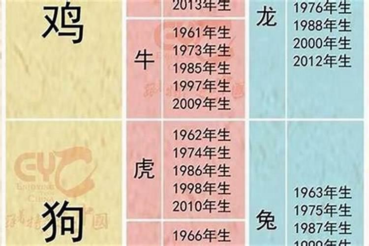 活牛土虎八字合吗？