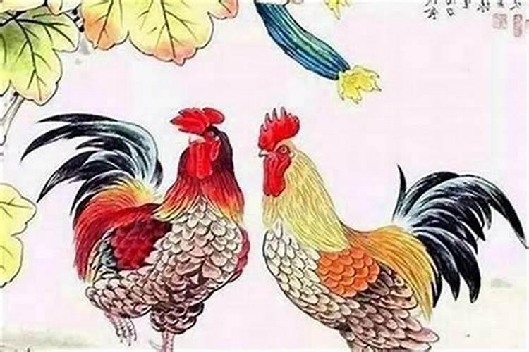 属鸡和属羊婚配生什么属相？