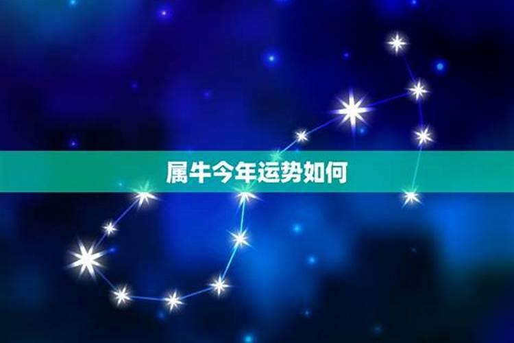 85今年运势怎样怎样？