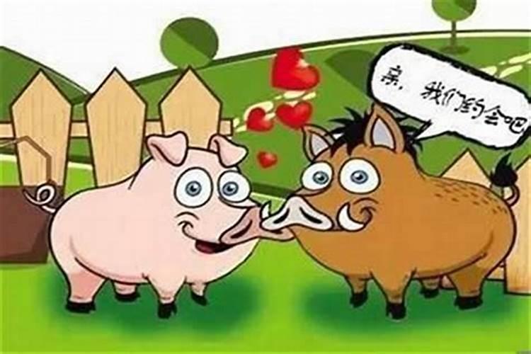 牛与牛能八字合吗？