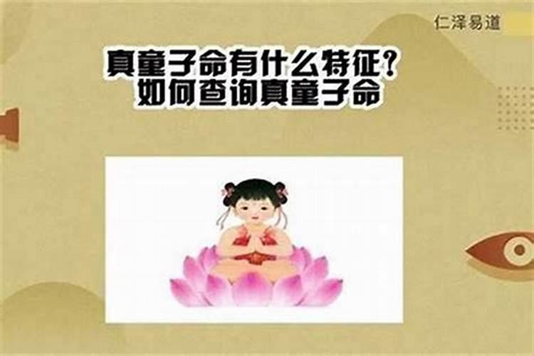 童子命可以出道吗？