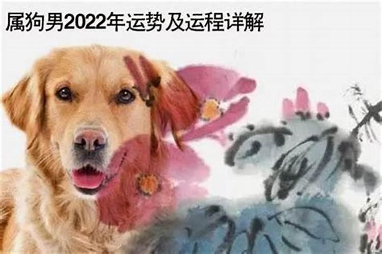 1982年狗年五月出生的运程如何？