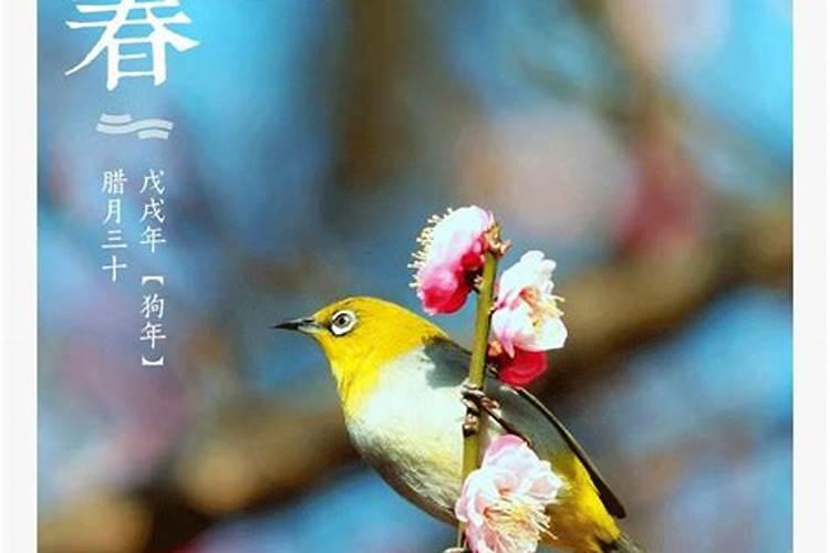 今日几点几分立春什么意思？