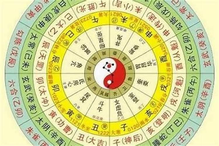 八字五合代表什么？
