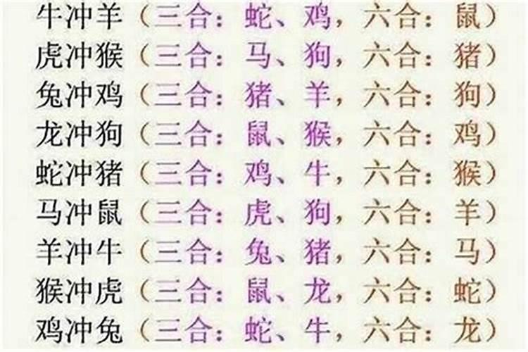 猪羊属相婚配属三合吗？