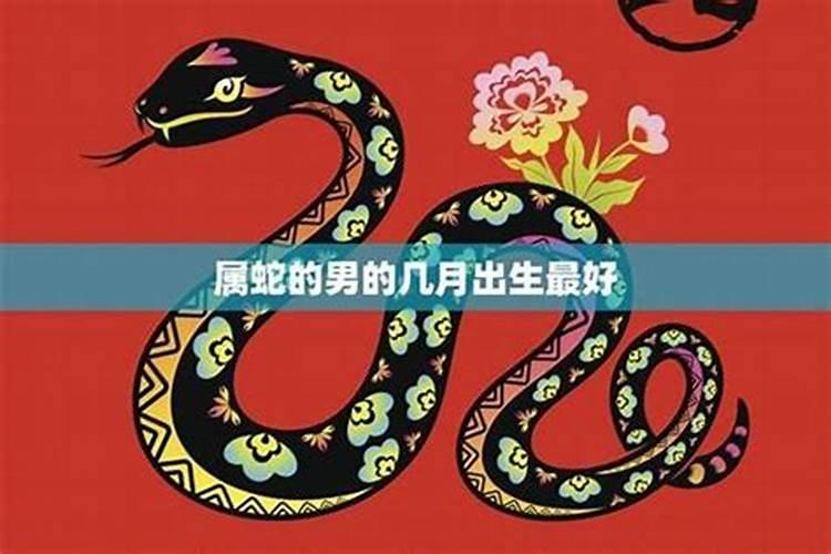阴历10月出生的蛇运势
