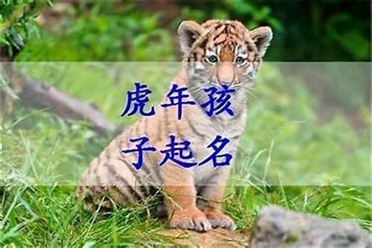 立夏前出生的虎宝宝名字