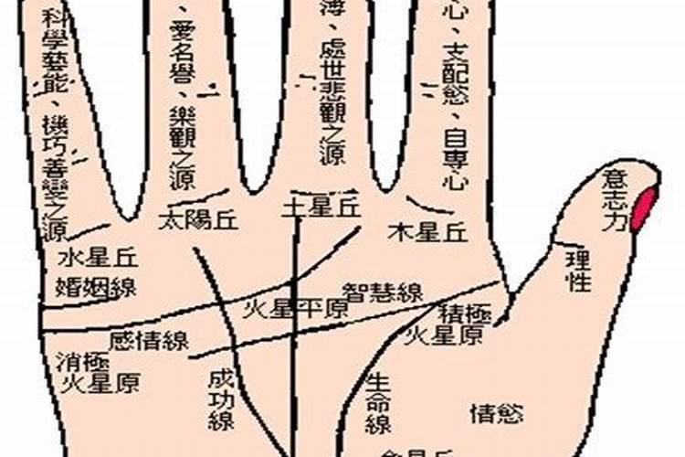 手相能算婚姻吗？