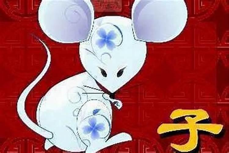 属鼠女婚配什么属相最好？