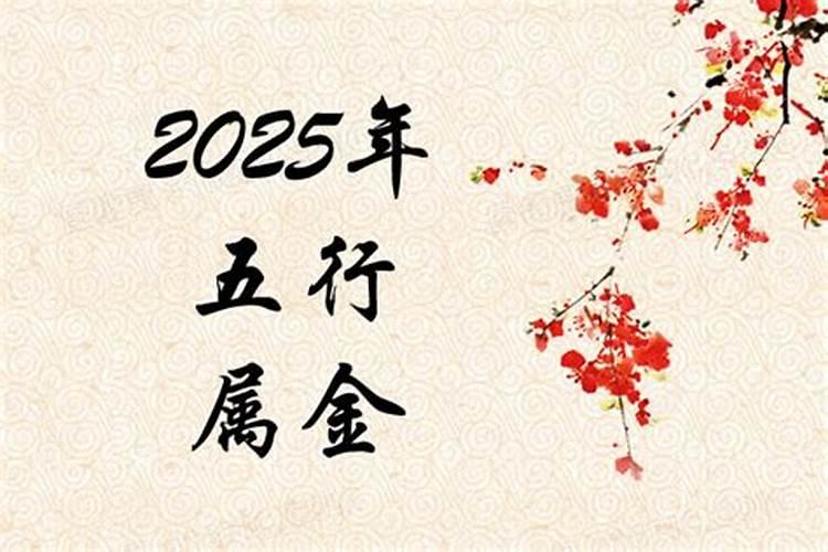 2025年出生的孩子是什么命？
