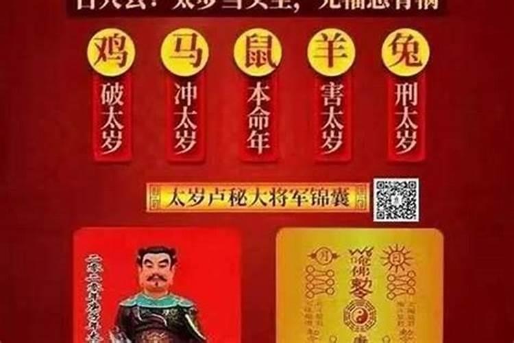 属鼠的人什么时候犯太岁？