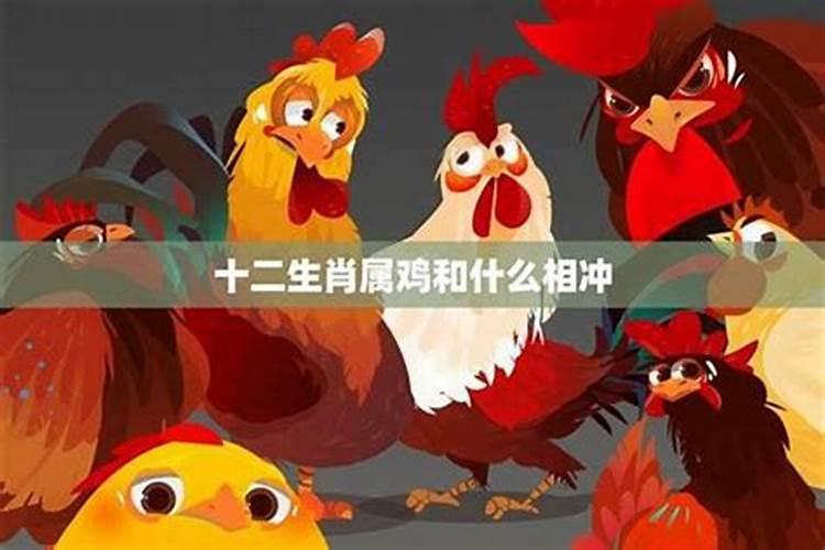 冲太岁属鸡怎么化解？