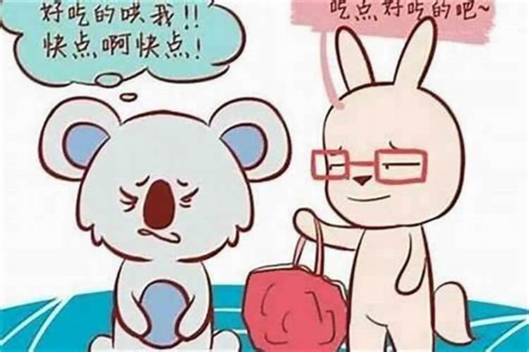 男鼠女兔好合婚吗？