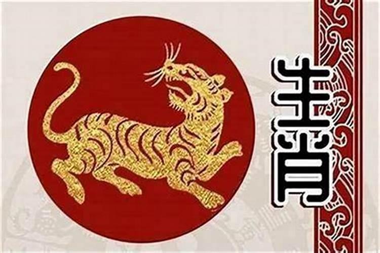 2025年属虎的本命年