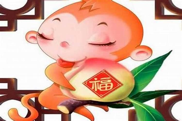 属猴男哪年运势好？