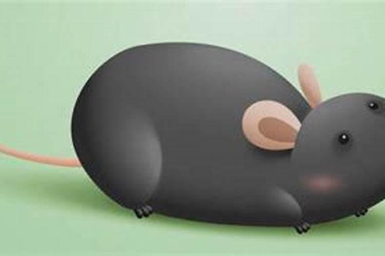 梦见老鼠一定会怀孕吗？