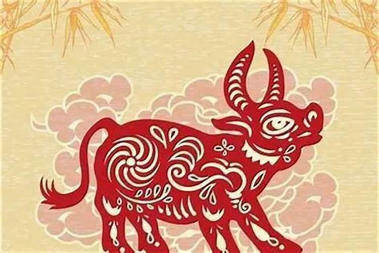 属牛跟什么犯太岁？