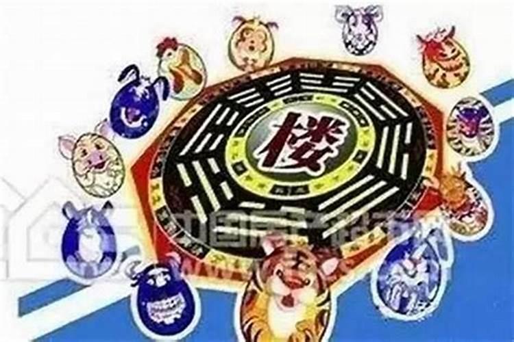 正月初一哪个楼层最好？