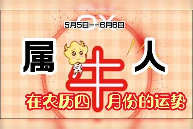 属牛农历4月份运势怎么样？