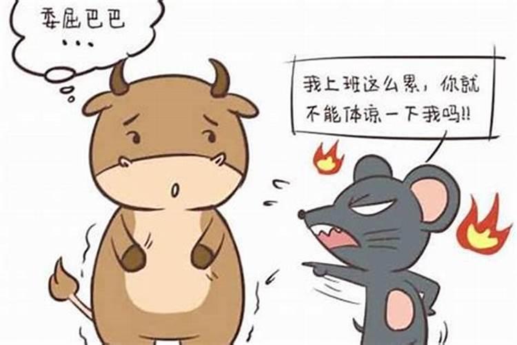 属牛的和属鼠的合婚姻吗？