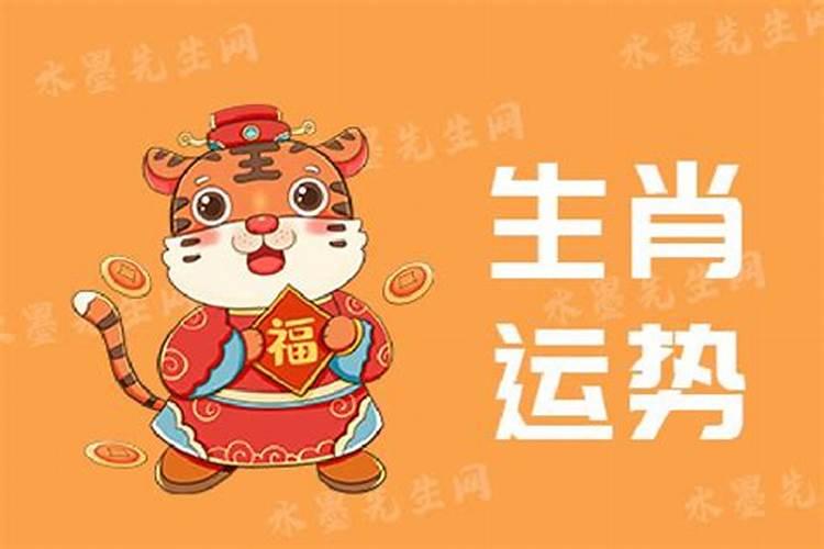 2025年的生肖运程如何？