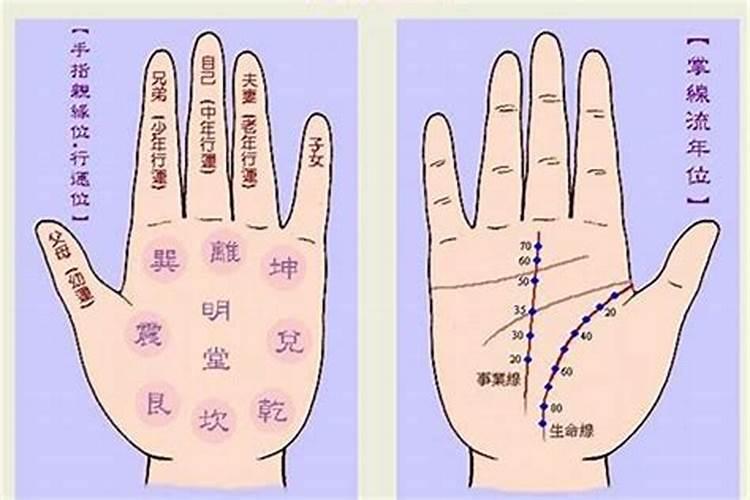 八字合手相不合信哪个？
