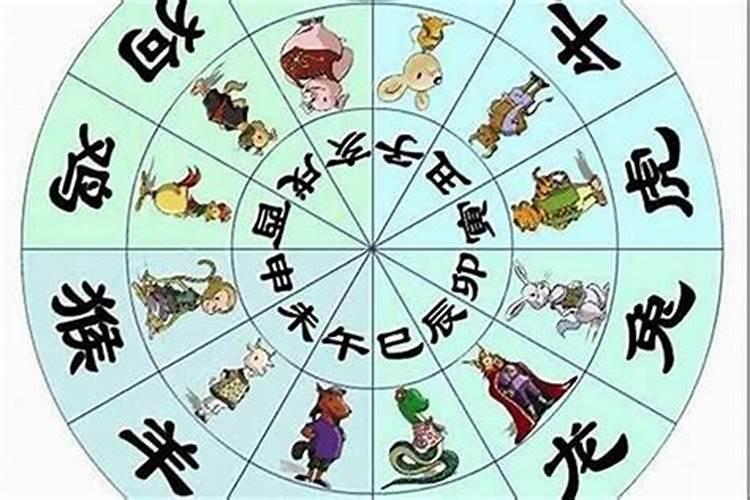 属虎本命年不能穿什么颜色？