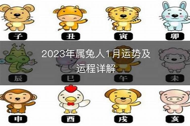 属兔今年9月份运程如何？