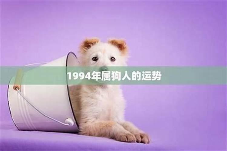 1994年生一生运程
