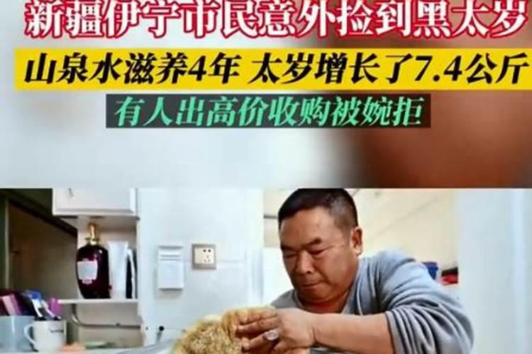 捡到太岁是什么意思？