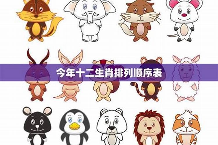 今年正月十二运势