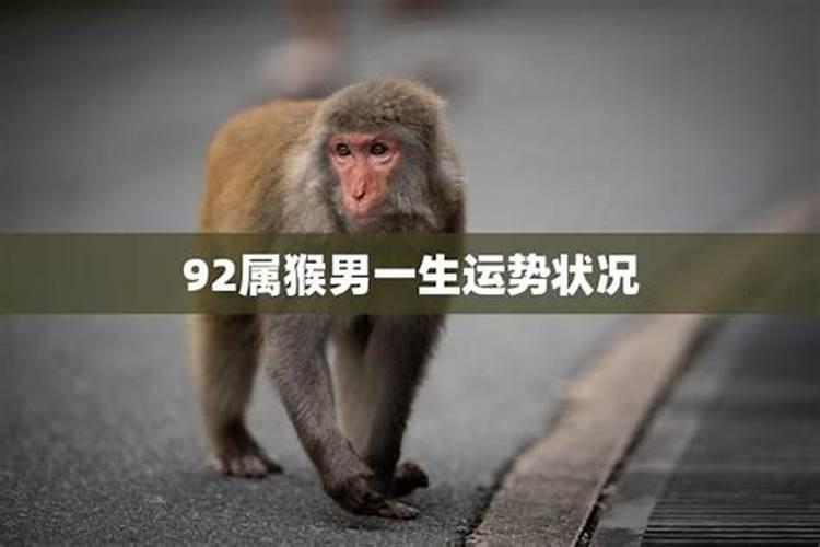 92年男属猴的一生运程
