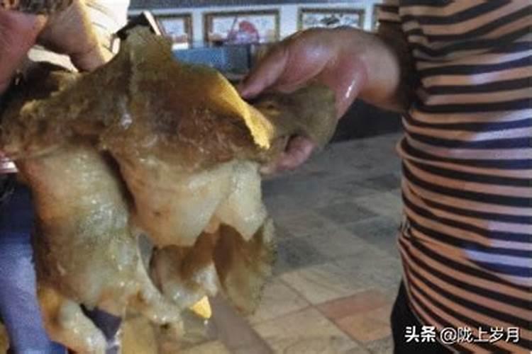 太岁动土还能活吗？