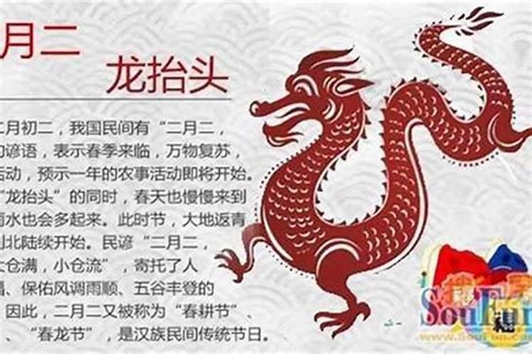 甲子年十月初一出生女