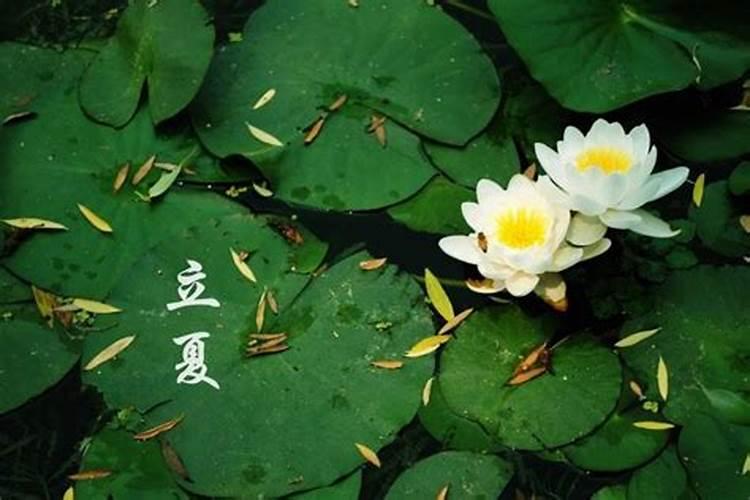 立夏节气入夏的城市有哪些？