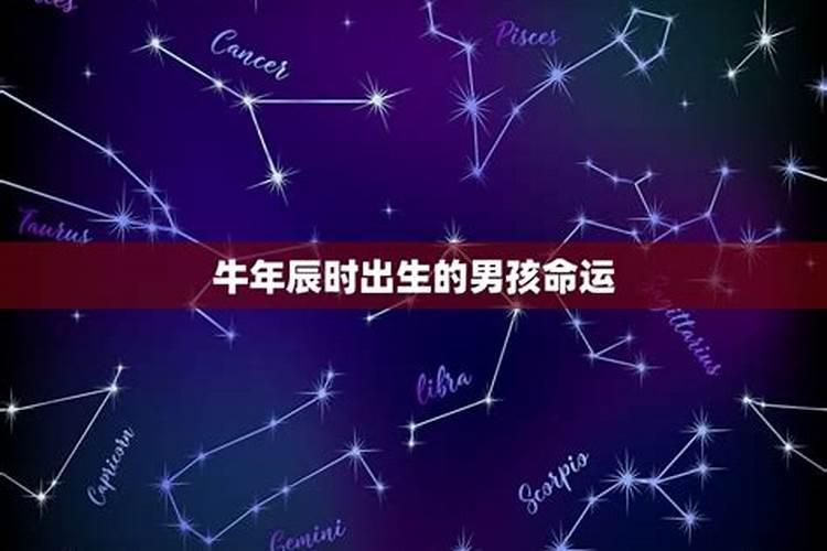 75年七月十六辰时出生的男孩运程