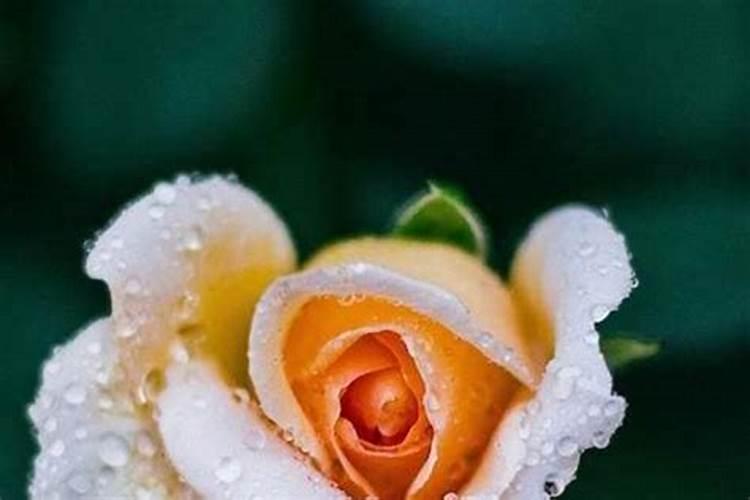 做法事需要推算时辰吗？