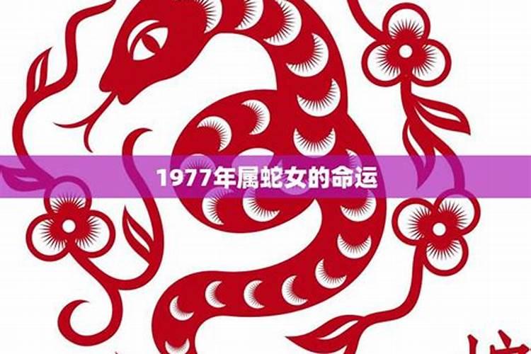 1977年属蛇的7月运程如何？