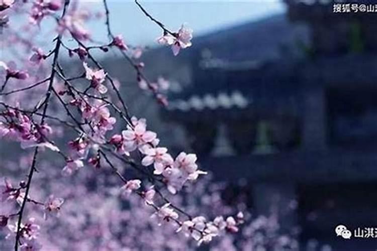 八字上怎么看桃花？