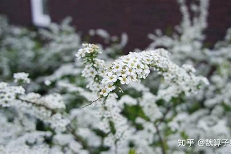 女人出轨会不会影响家里的财运？