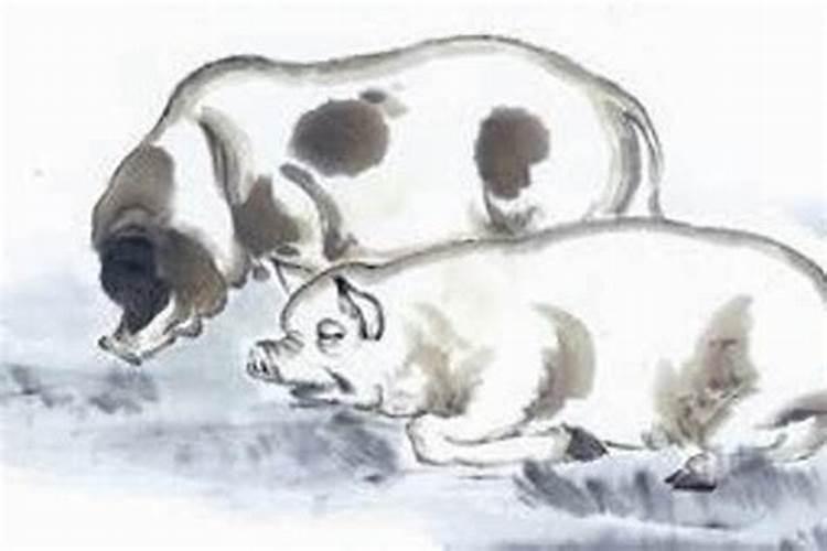 属猪女与属鼠男合婚吗？