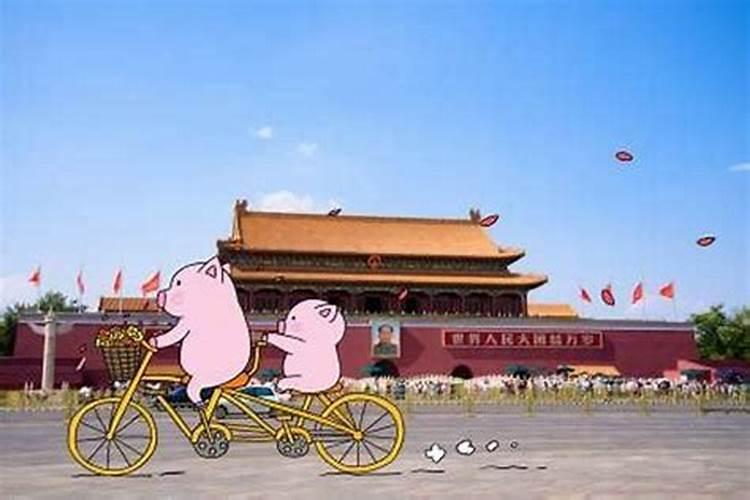 九月初九的猪命运如何？