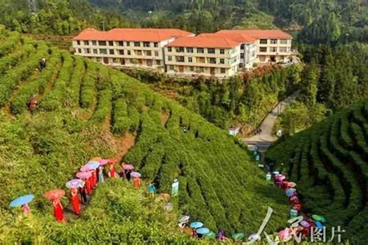 遂川汤湖做法事