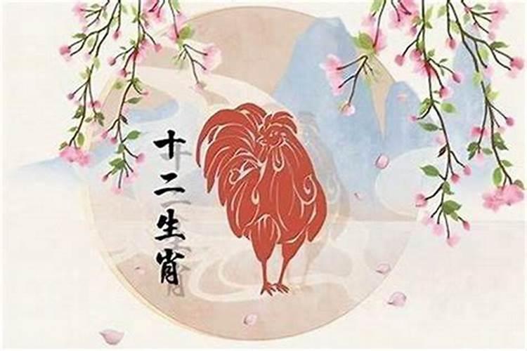 正月初一出生的鸡女孩命运