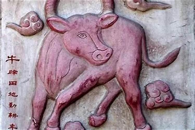 1985年属牛女今年的运势