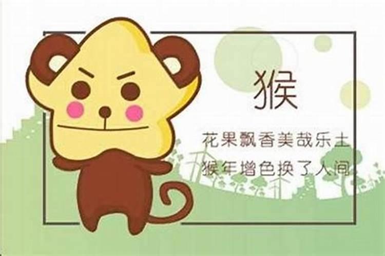 属猴和属龙八字合吗？